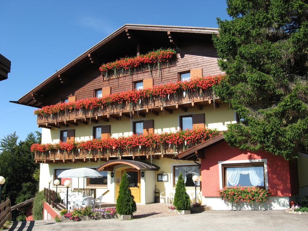 Albergo Villa Cristina Folgaria Zewnętrze zdjęcie