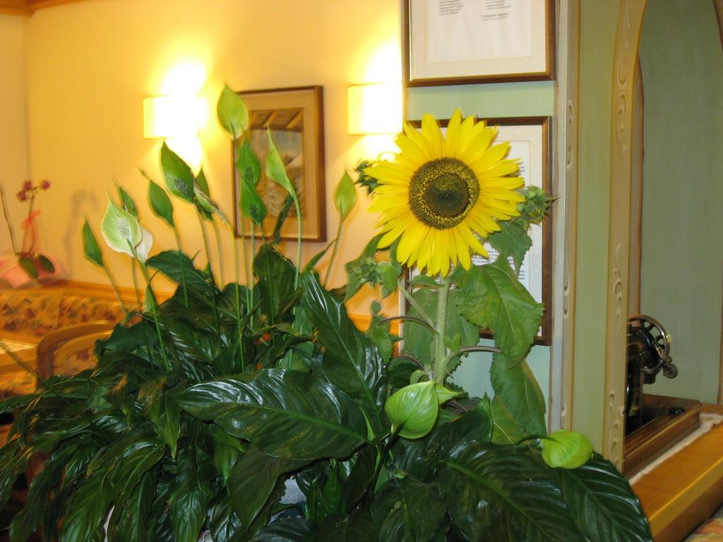 Albergo Villa Cristina Folgaria Zewnętrze zdjęcie